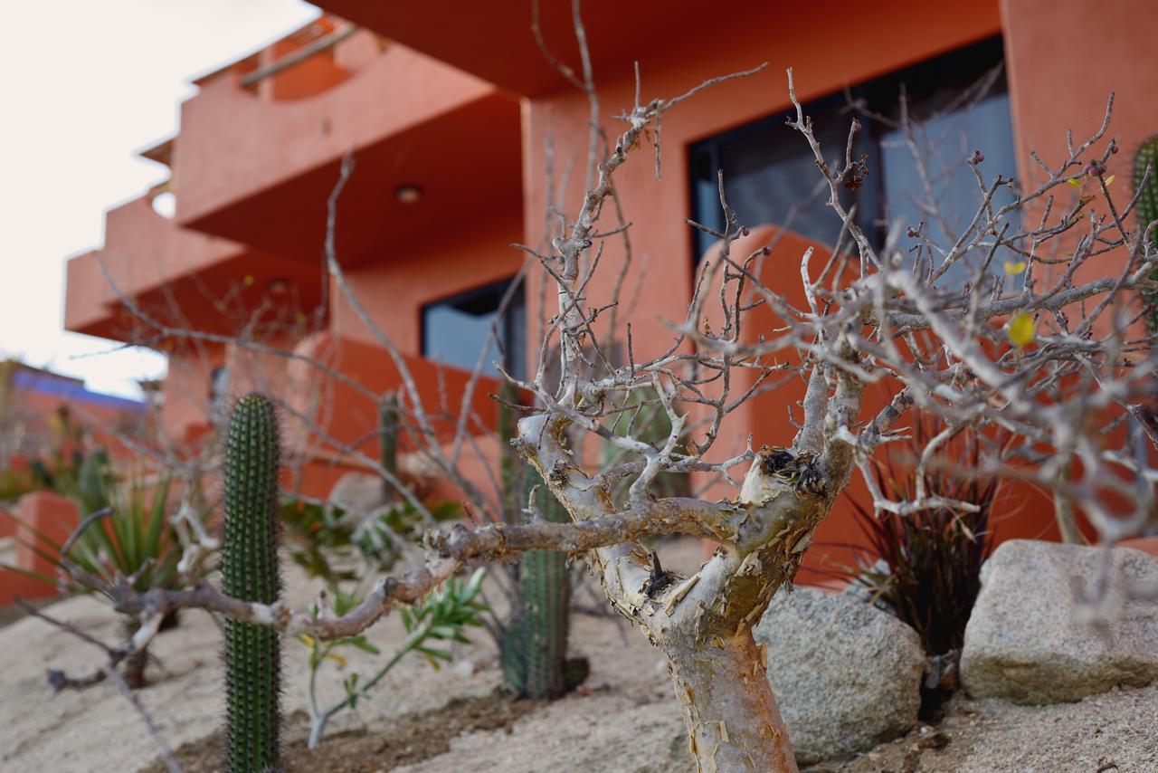 Cerritos Beach Hotel Desert Moon El Pescadero  ภายนอก รูปภาพ
