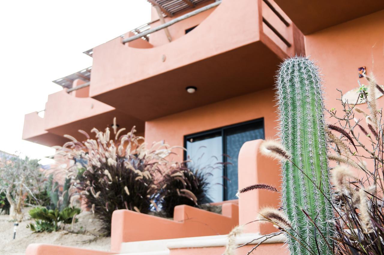 Cerritos Beach Hotel Desert Moon El Pescadero  ภายนอก รูปภาพ