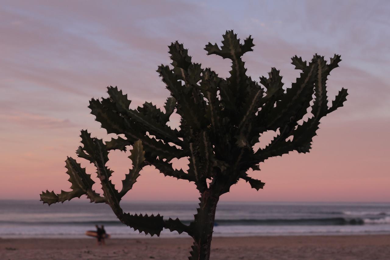 Cerritos Beach Hotel Desert Moon El Pescadero  ภายนอก รูปภาพ
